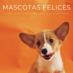 Cuidando Cachorritos