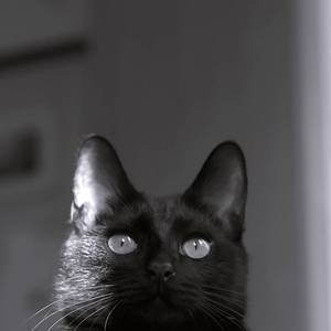 我（Cover 苏运莹）