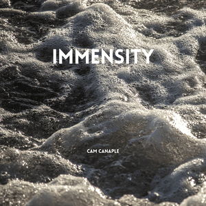 Immensity