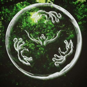 Anfarwol