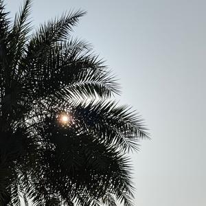 杀死那个石家庄人女声吉他弹唱（翻唱）