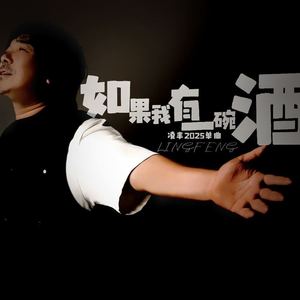 如果我有一碗酒