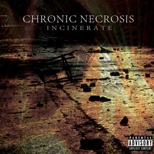 Chronic Necrosis