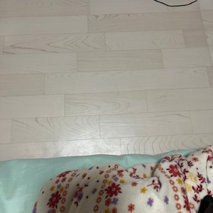 セントアンドリューグリーン