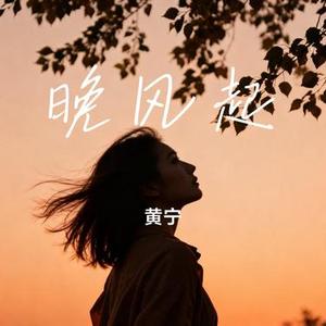 晚风起