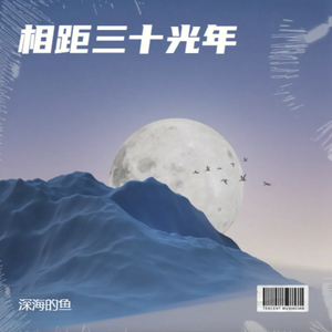 孤岛搁浅的鲸鱼