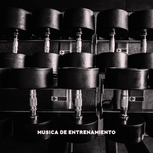 Circuito (Coordinación y Agilidad)