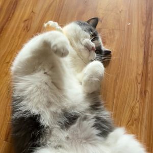 打破那面墙（Prod by.ryderjohne）