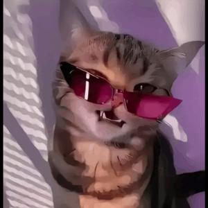 GaNz SpoNtAnEr KiCkTeSt