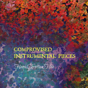 SCGOI: Short Comprovisation for Guitar and Other Instruments, No. 1 (Ab)