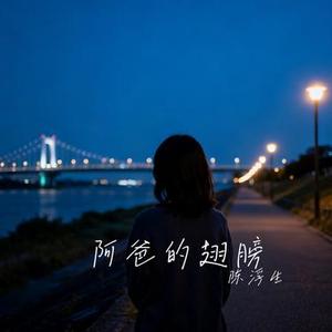 阿爸的翅膀 (Remix)
