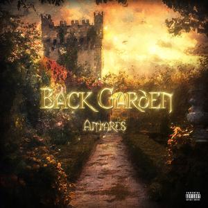 玫瑰棕竹 Rosa Excelsa