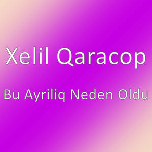 Bu Ayriliq Neden Oldu