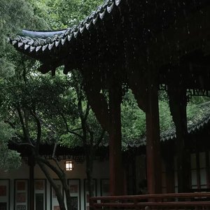 江南雨劫