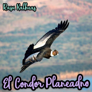 El Condor Planeando