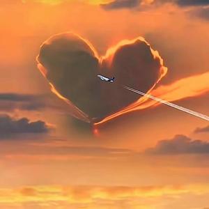 初次见面很高兴认识你