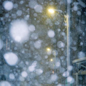 雪のあとに残ったもの