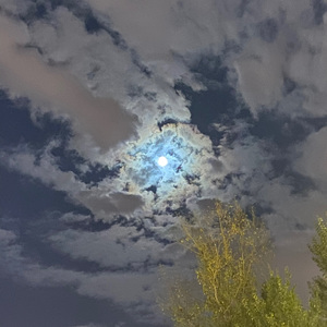 漫步人生路交响乐版