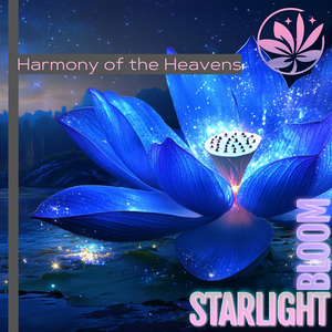 Spellcraft (Ultimate Astral Mood)