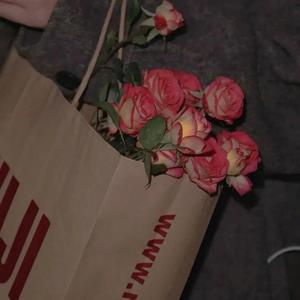 白山茶（cover陈雪凝）