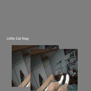 Little Cat Nap