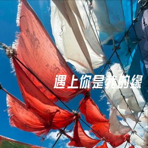 遇上你是我的缘（好听版）