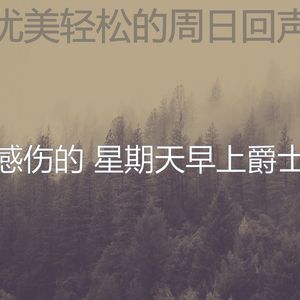 一尘不染轻松的周日印象数