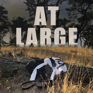At Large
