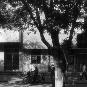 在回忆中得到永恒