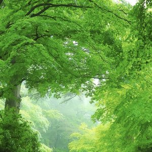 WAV文件_青石辞_55483336729471493_1760005932541.wav