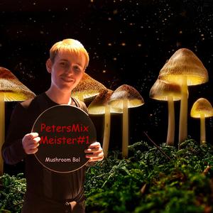 PetersMixMeister#1