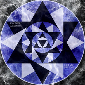 Take Control (Original Mix)