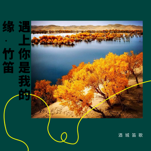 没有童话的童话-竹笛