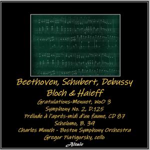 Symphony NO. 2 in B-Flat Major, D.125: I. Largo - Allegro Vivace