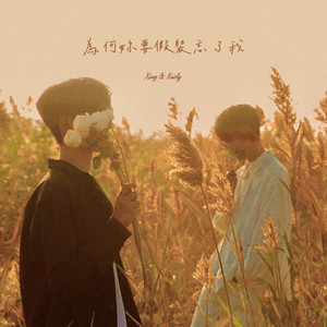 为何妳要假装忘了我