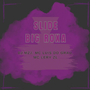 SLIDE BIG ROXA