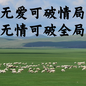 无爱可破情局，无情可破全局