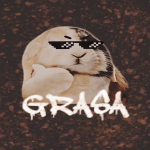 Grasa
