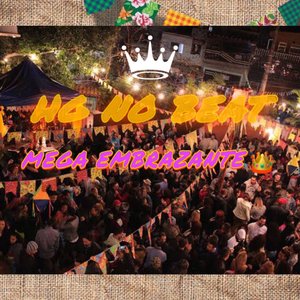 Mega Embrazante (feat. Mc Mr. Bim)