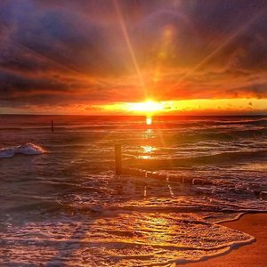 每年桃花开的时候