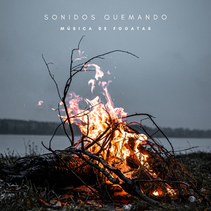 Música Calmante Con Sonidos Del Fuego