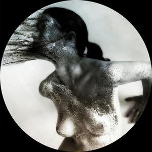 Sinusoidal Consilium