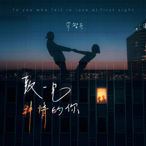 致一见钟情的你