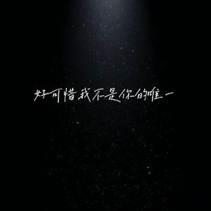 好可惜我不是你唯一