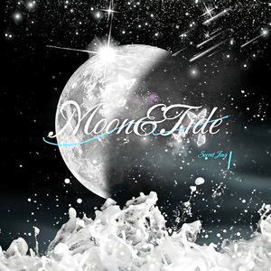 月亮与潮汐共舞