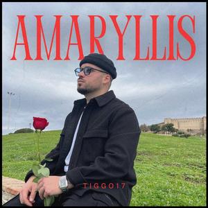 Amaryllis