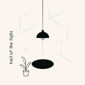 Half of the light