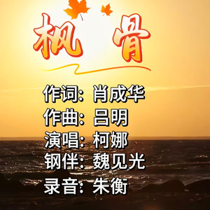 枫骨 伴奏