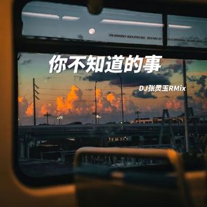 Robynn&Kendy-你不知道的事 DJ张灵玉RMix