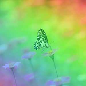 微妙的工作重点心情